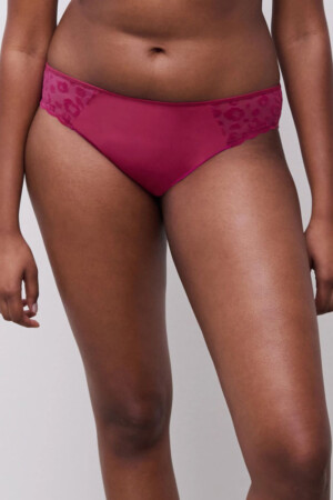 Slip in tulle elasticizzato con velluto effetto animalier, vita classica e copertura posteriore semi-trasparente.